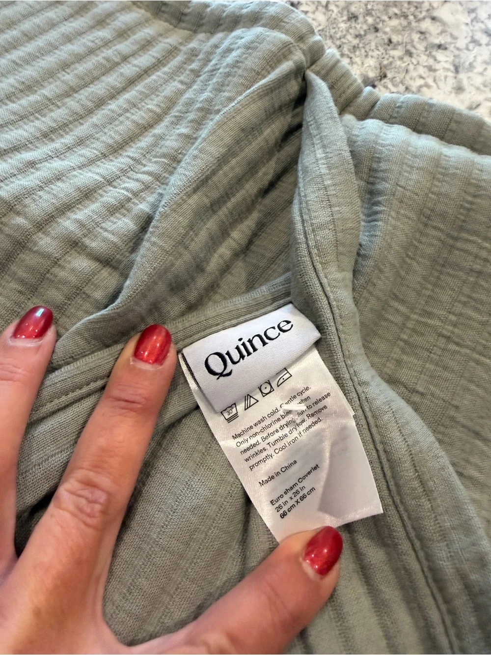 Quince Sage Green Cotton Euro Sham 26x26